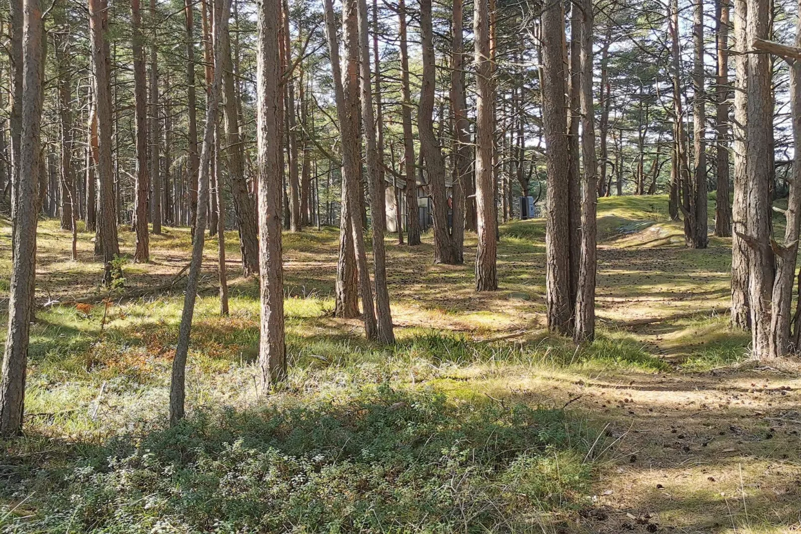 Kustcharme in Flaton Toevluchtsoord-By Traum-Niet-getagd
