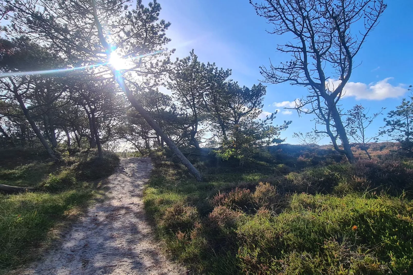 6 persoons vakantie huis in Rømø