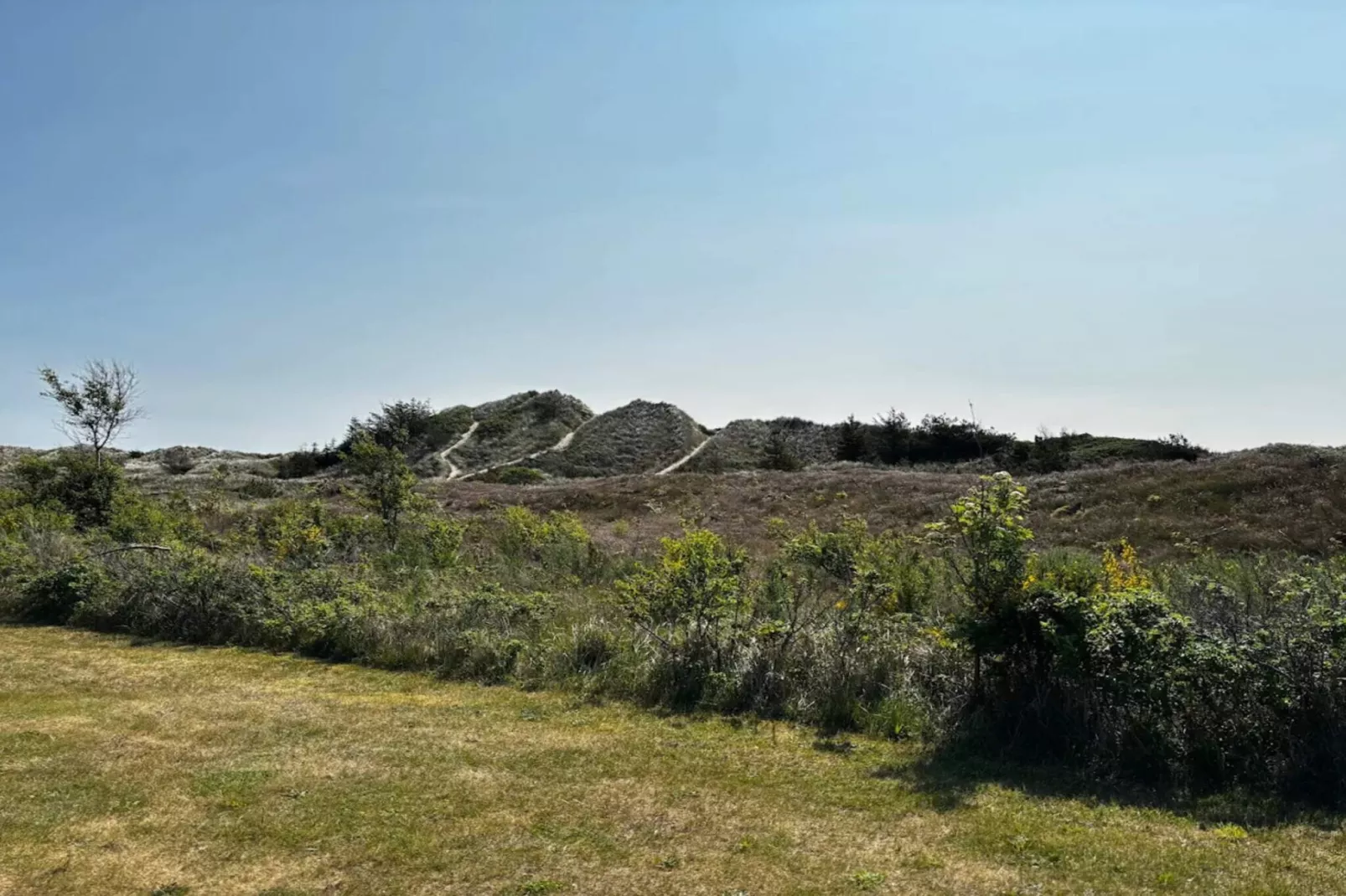 6 persoons vakantie huis in Ålbæk-Niet-getagd