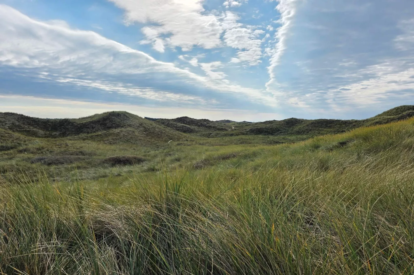 14 persoons vakantie huis in Ulfborg