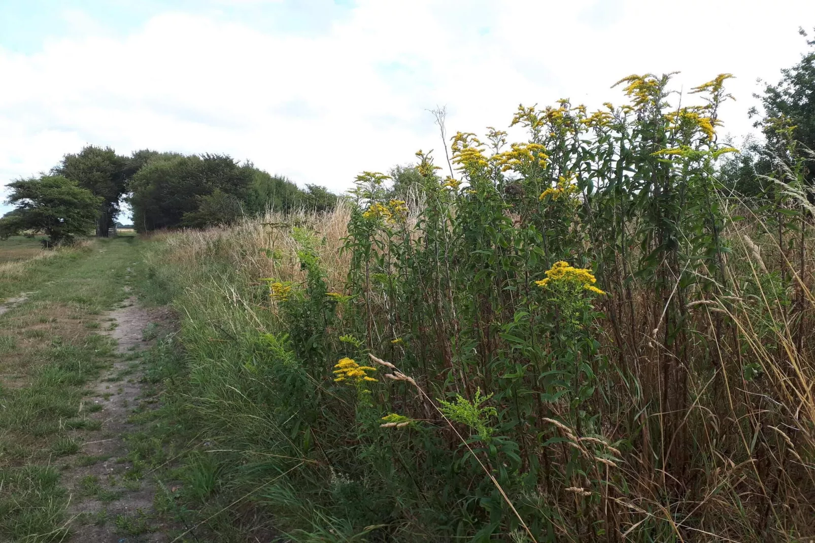 6 persoons vakantie huis in Bredebro