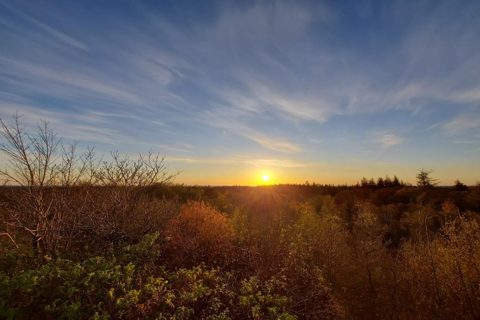 18 persoons vakantie huis in Nørre Nebel-Niet-getagd