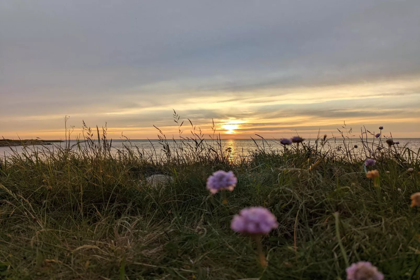 6 persoons vakantie huis in Tarm