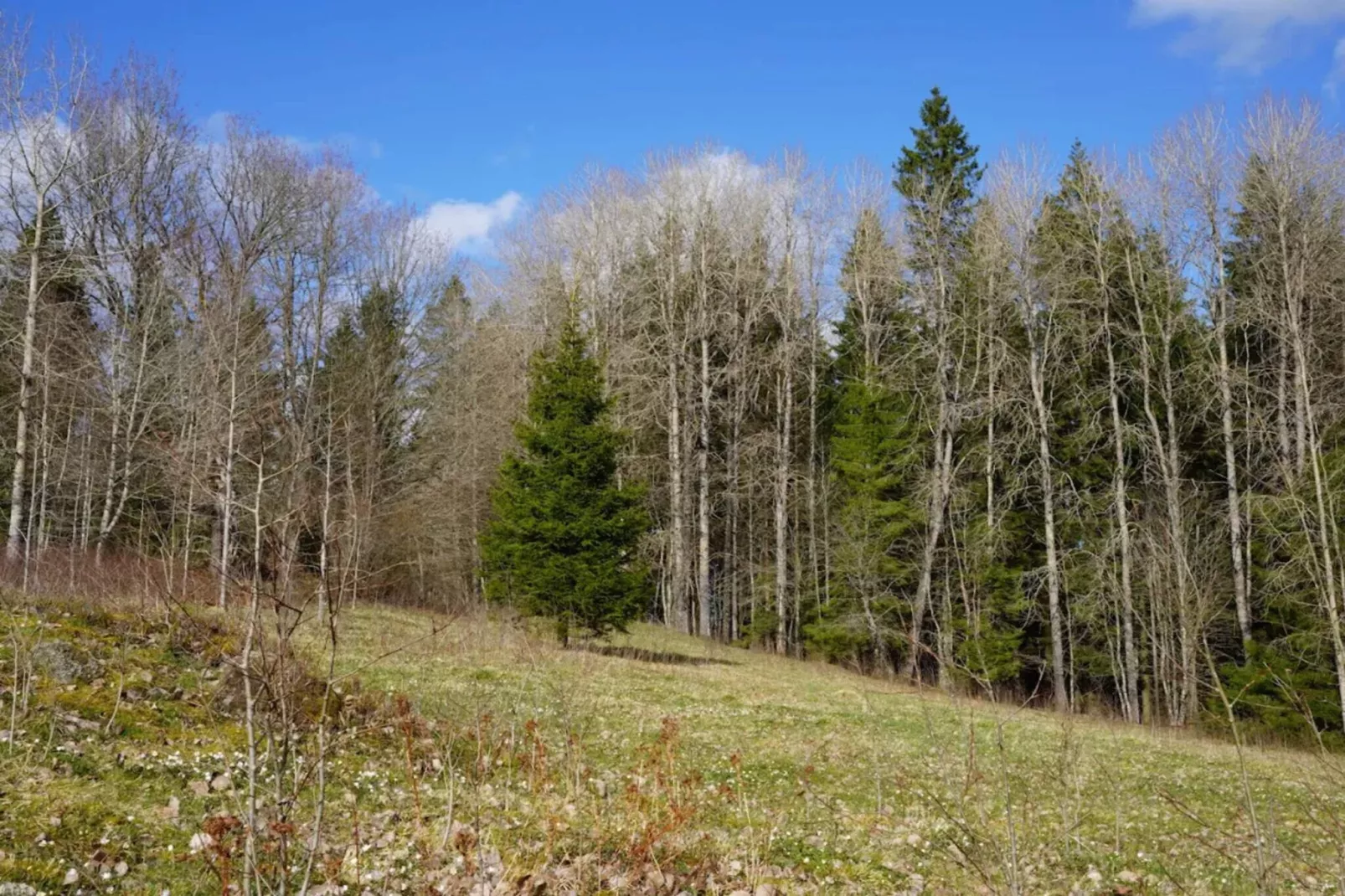 5 persoons vakantie huis in TENHULT/JÖNKÖPING-Niet-getagd