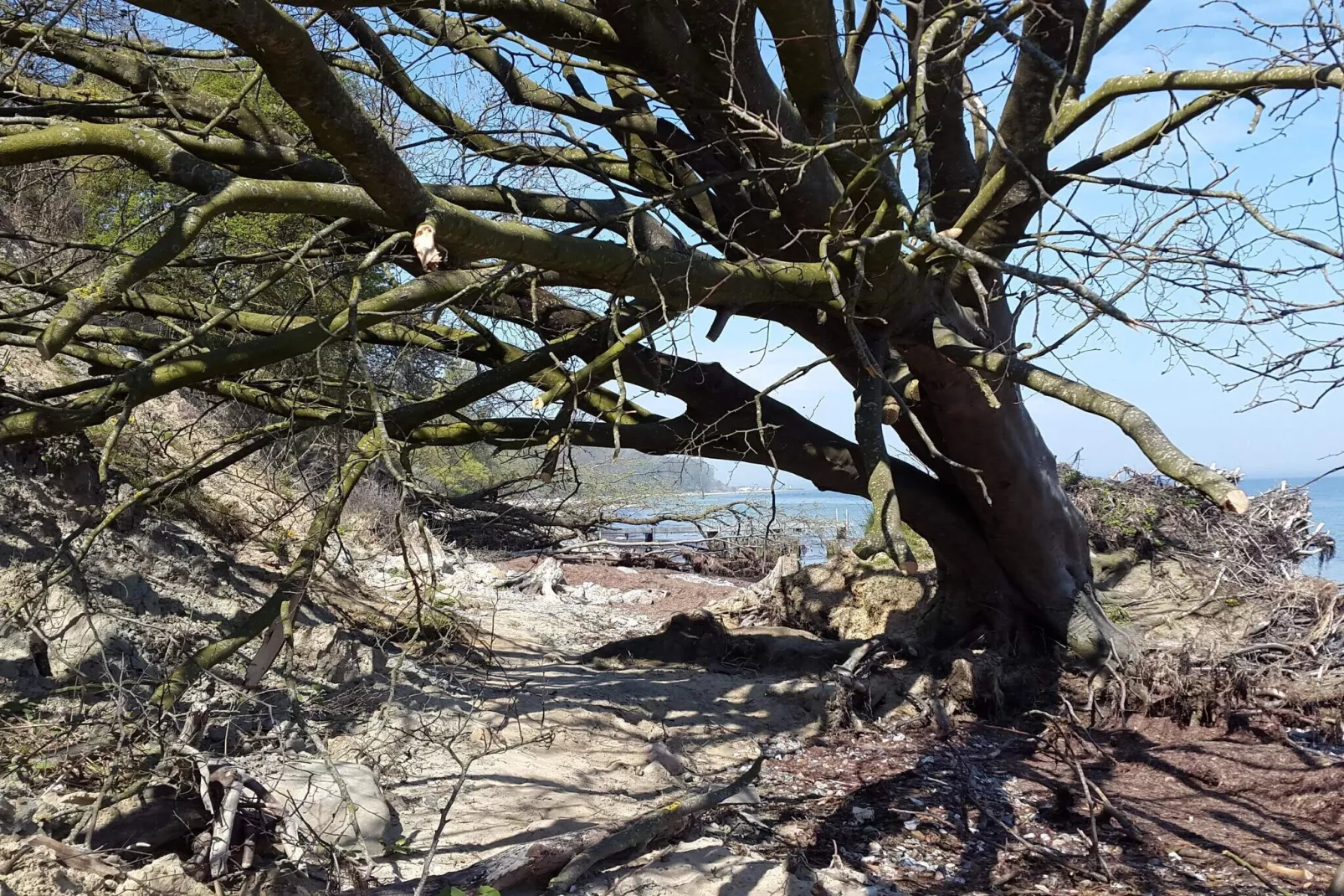 6 persoons vakantie huis in Sydals-Niet-getagd