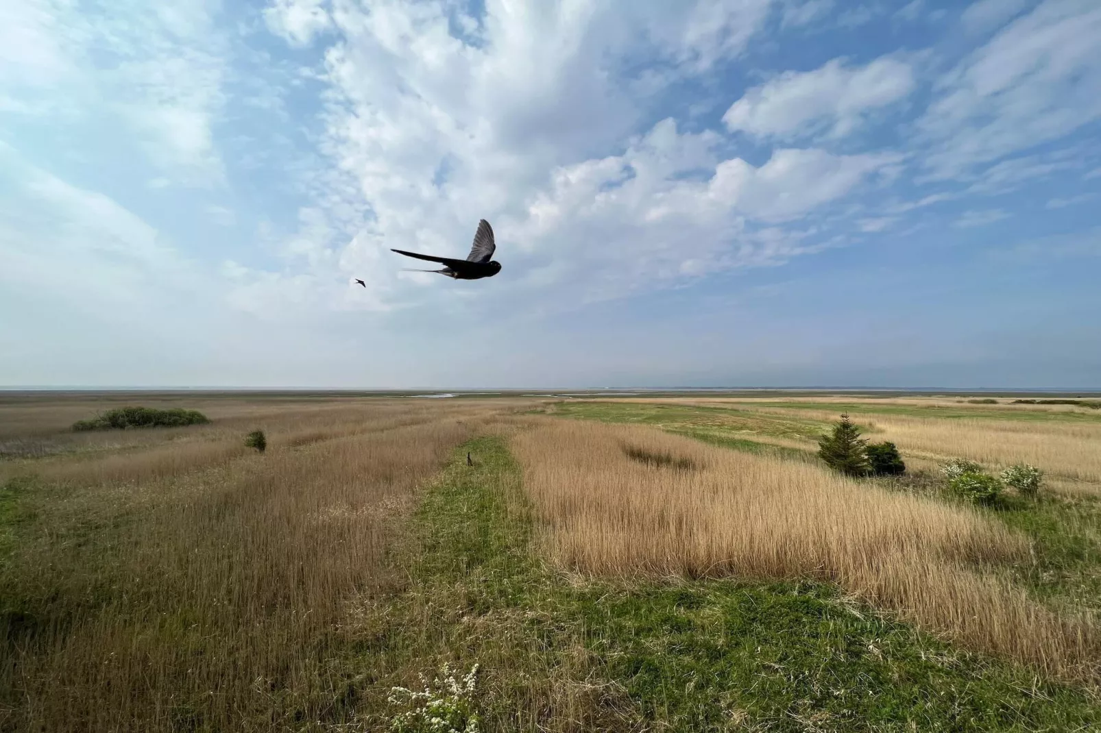 8 persoons vakantie huis in Ulfborg