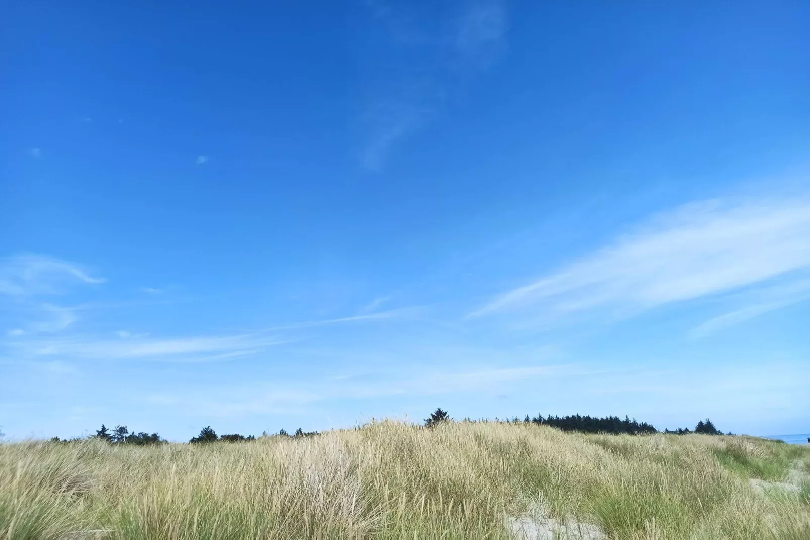 Kustsereniteit in Hals-By Traum-Niet-getagd