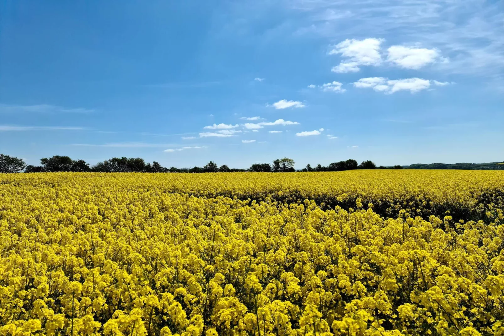 Ruim Vakantiehuis in Sonderborg-By Traum-Niet-getagd