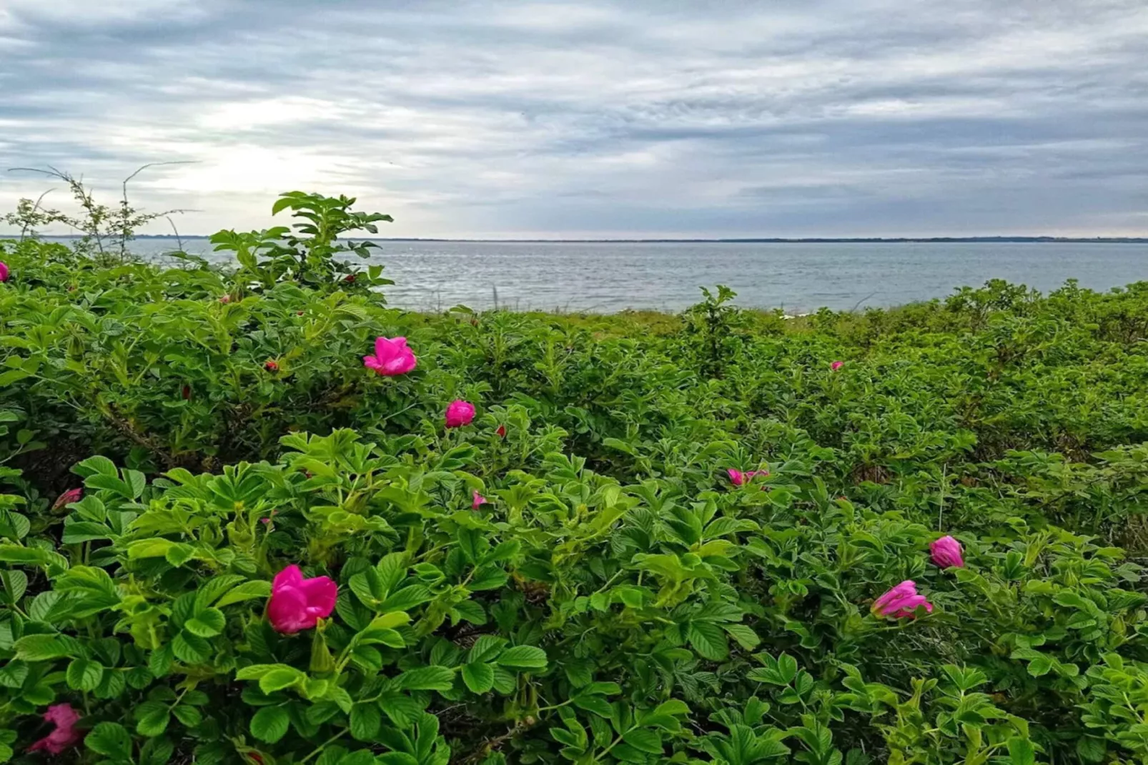Luxe toevluchtsoord in Loddenhoj-By Traum
