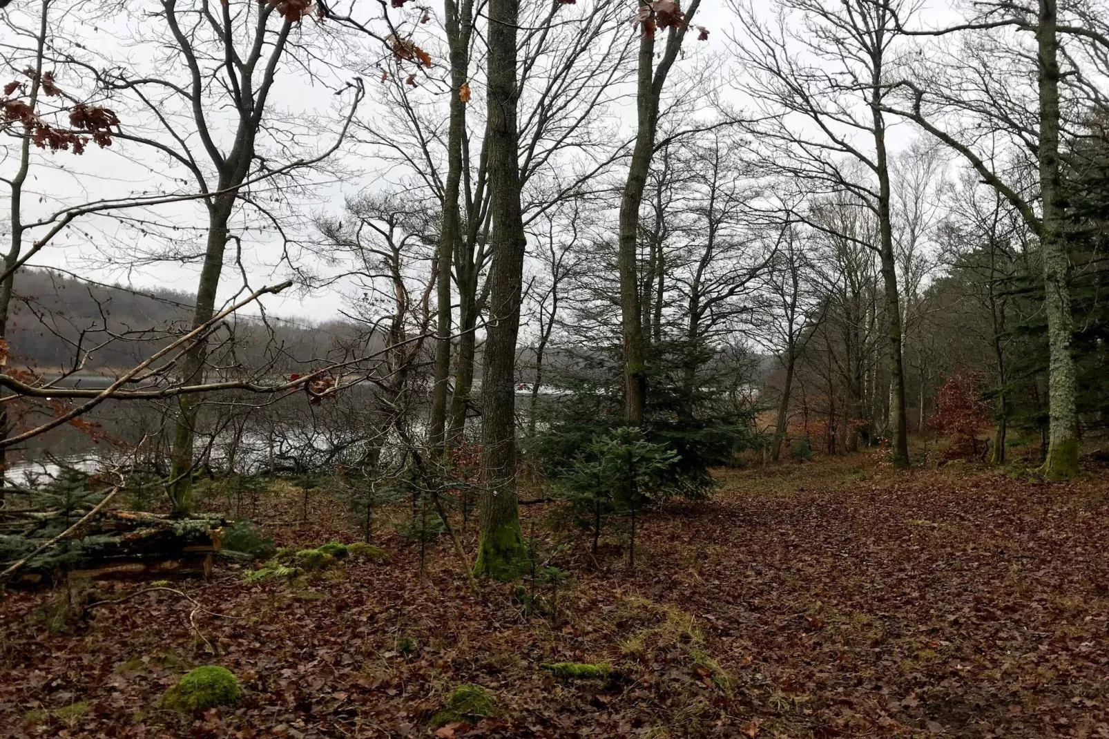 Zonnig heuvelhuisje-By Traum