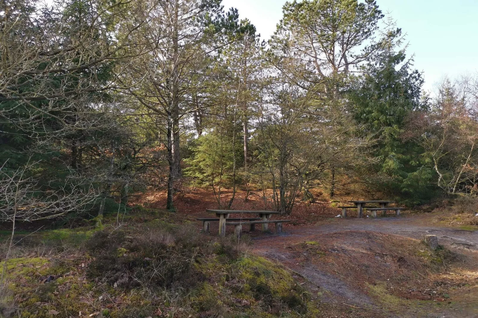 4 persoons vakantie huis in Oksbøl