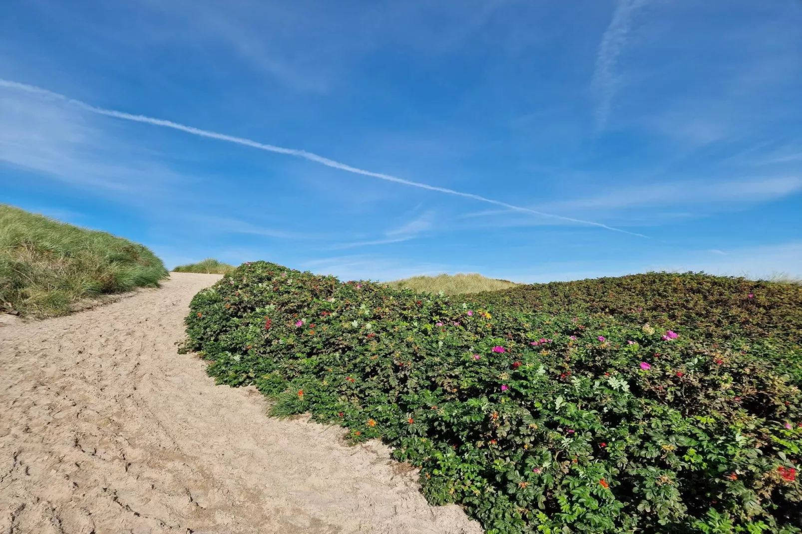 6 persoons vakantie huis in Hvide Sande