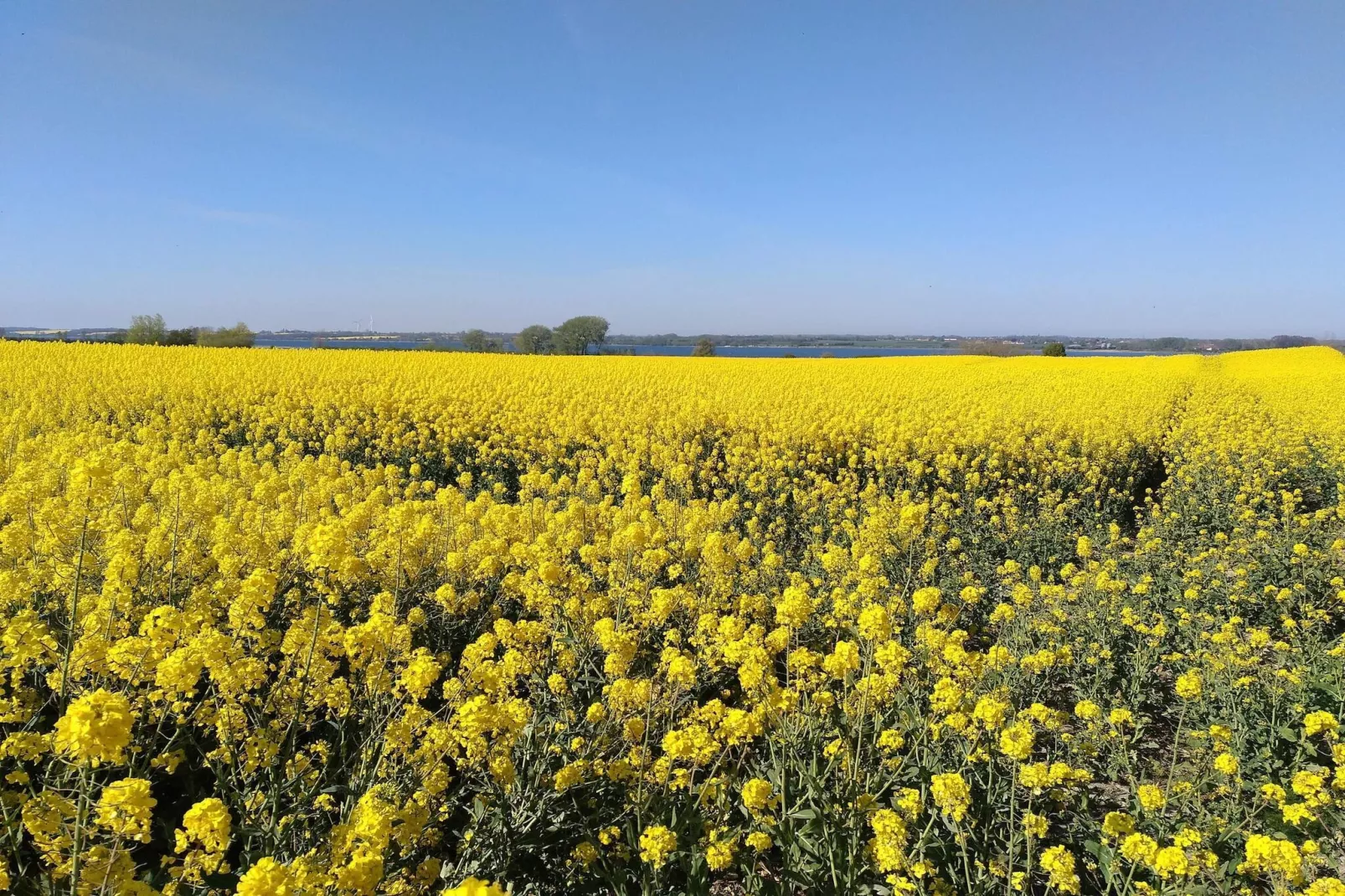 5 persoons vakantie huis in Sydals-Niet-getagd