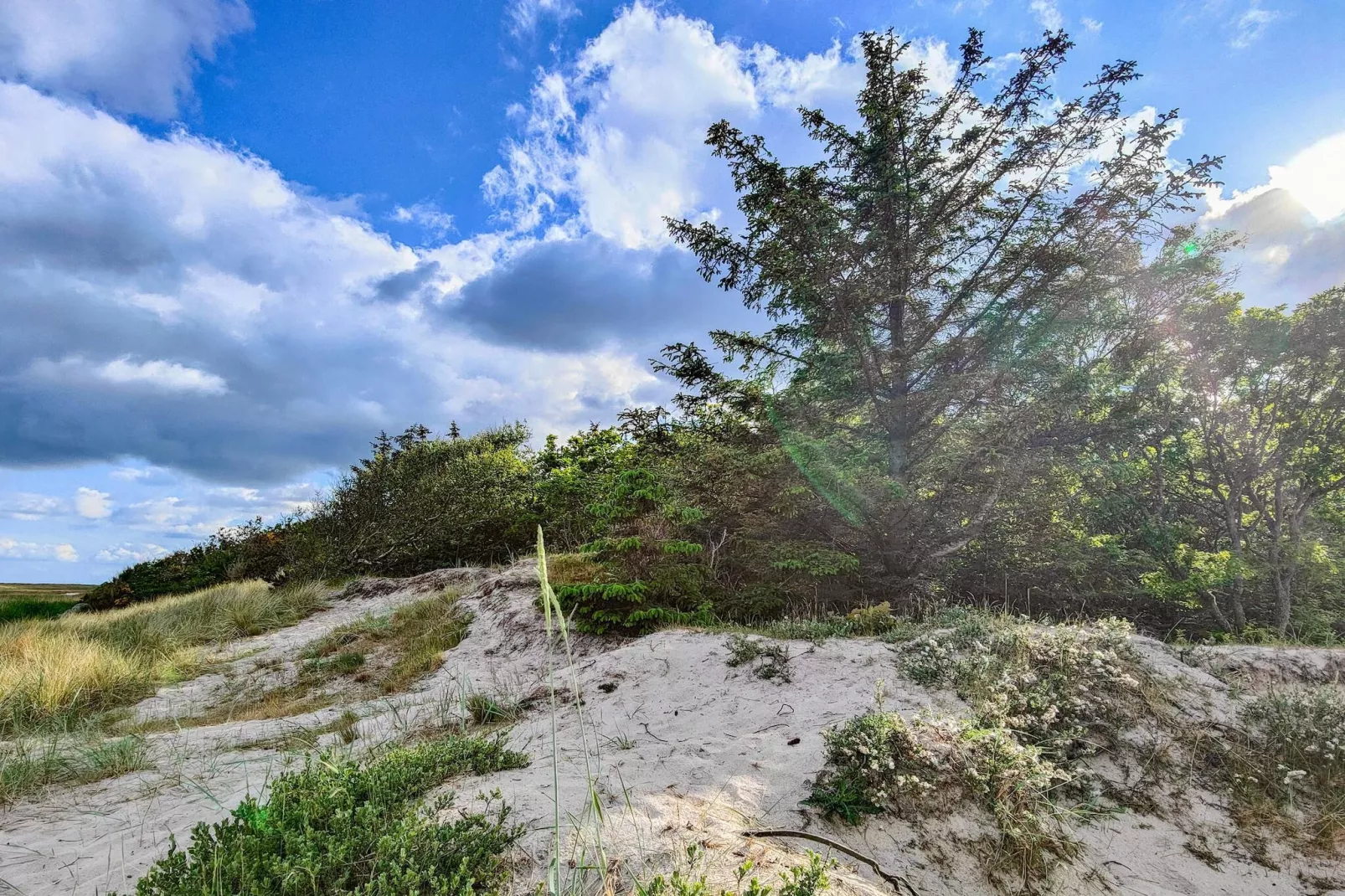 8 persoons vakantie huis in Hals-Niet-getagd