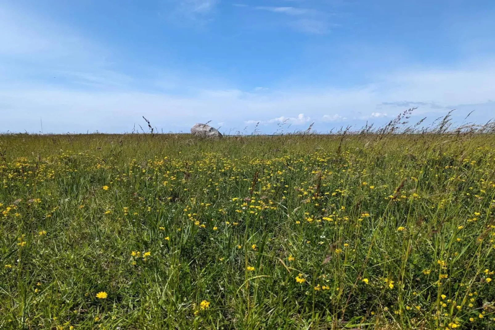 6 persoons vakantie huis in Gedser