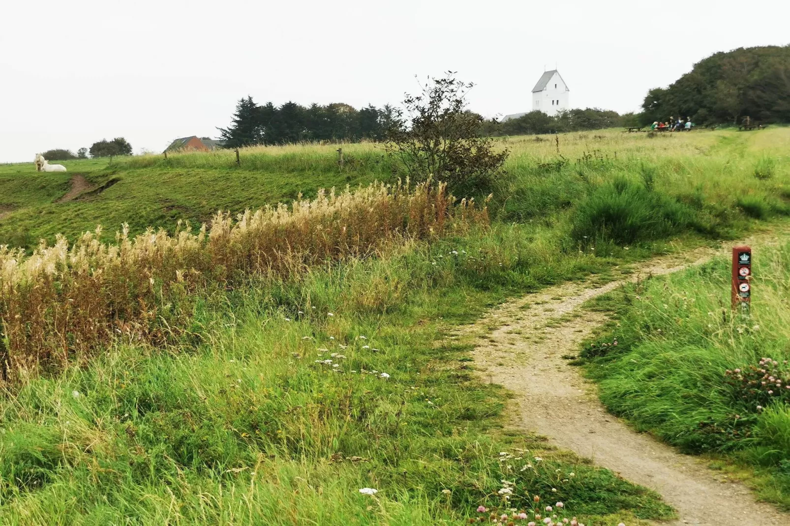 8 persoons vakantie huis in Hemmet