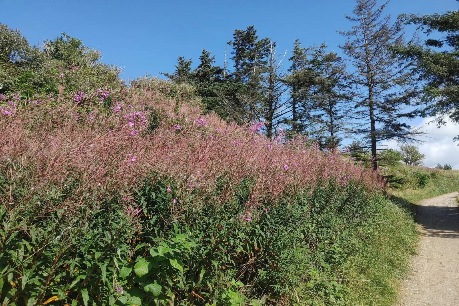 8 persoons vakantie huis in Hjørring-Niet-getagd