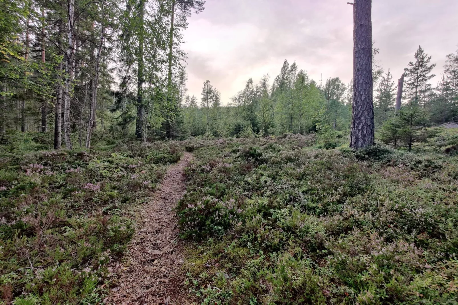 6 persoons vakantie huis in KOPPARBERG-By Traum-Niet-getagd