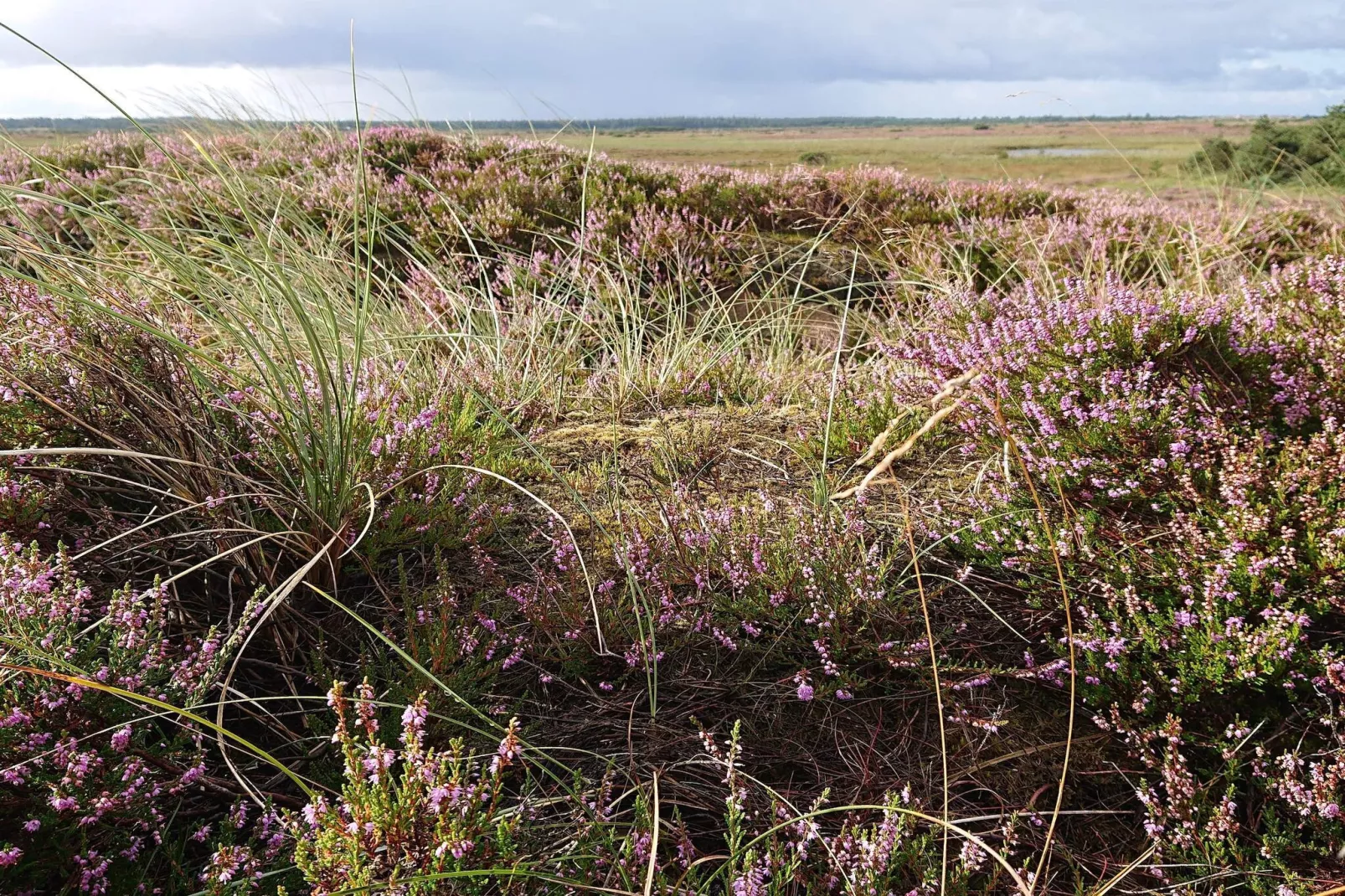 Afgelegen toevluchtsoord met uitzicht -- By Traum Ferienwohnungen