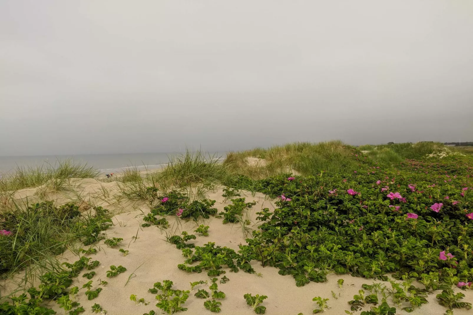 Milieuvriendelijk toevluchtsoord met spa -- By Traum Ferienwohnungen