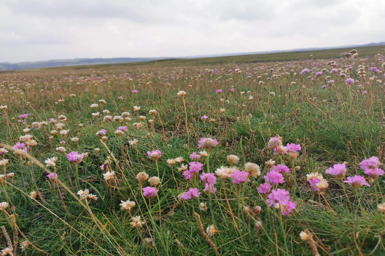 4 persoons vakantie huis in Lemvig-By Traum-Niet-getagd