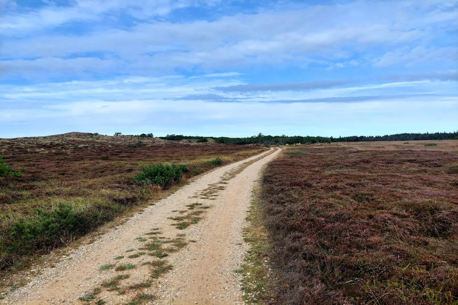 8 persoons vakantie huis in Nørre Nebel