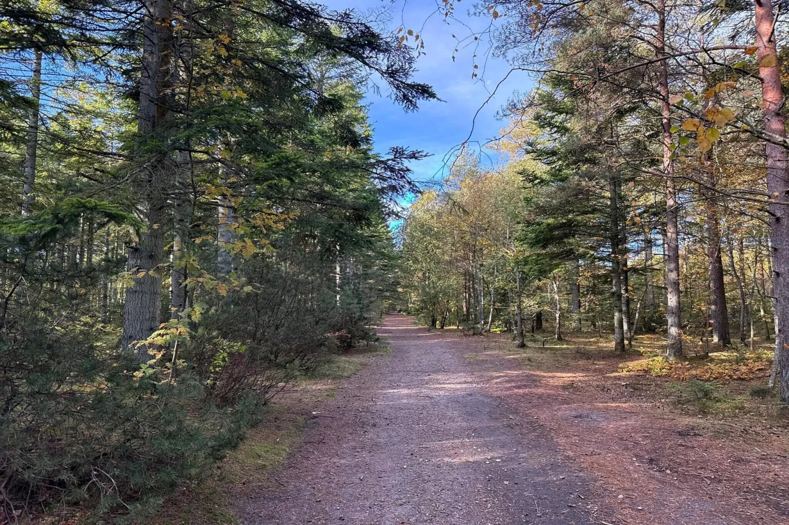 8 persoons vakantie huis in Ålbæk-By Traum-Niet-getagd