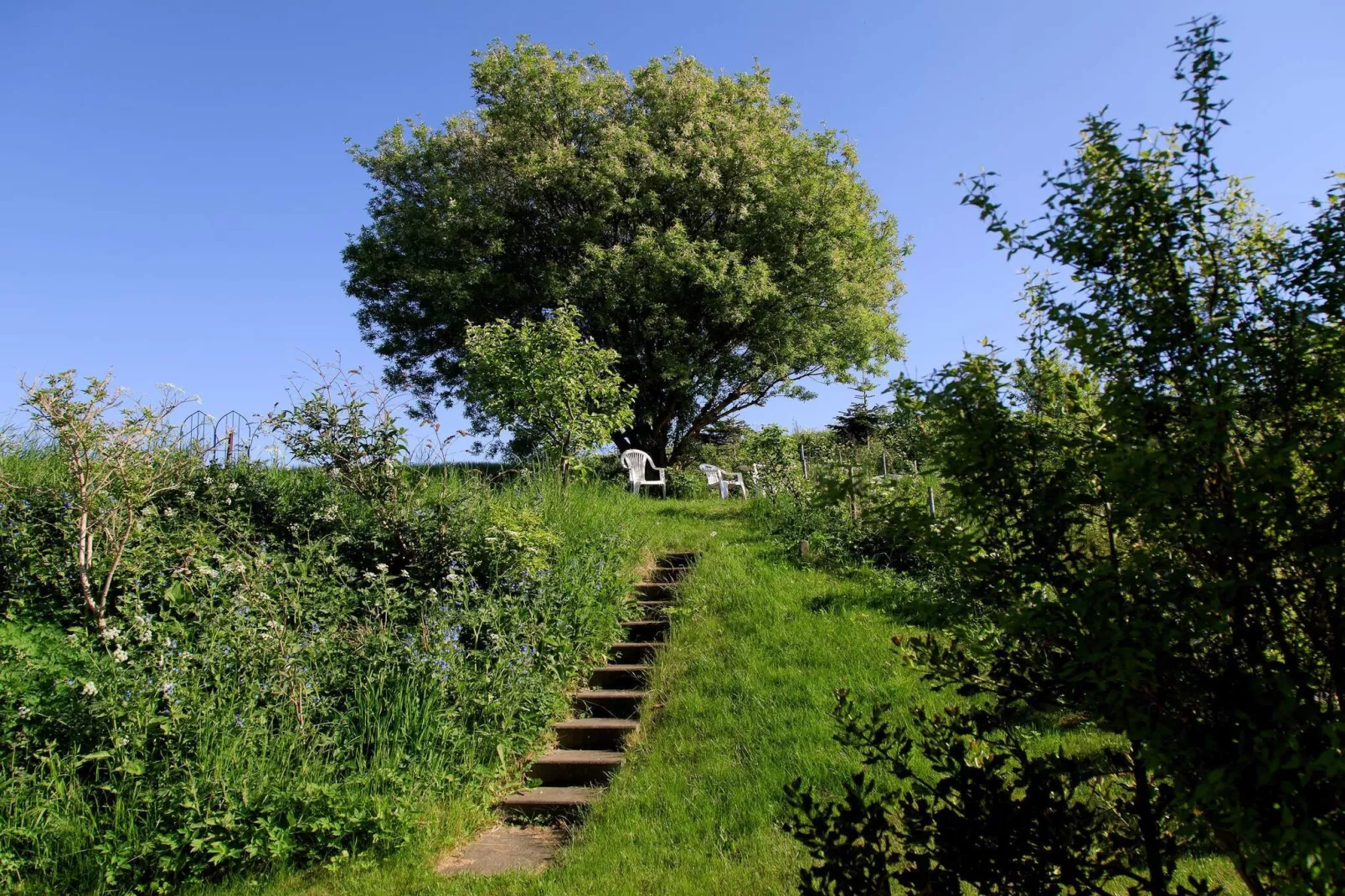 6 persoons vakantie huis in Knebel-By Traum-Niet-getagd