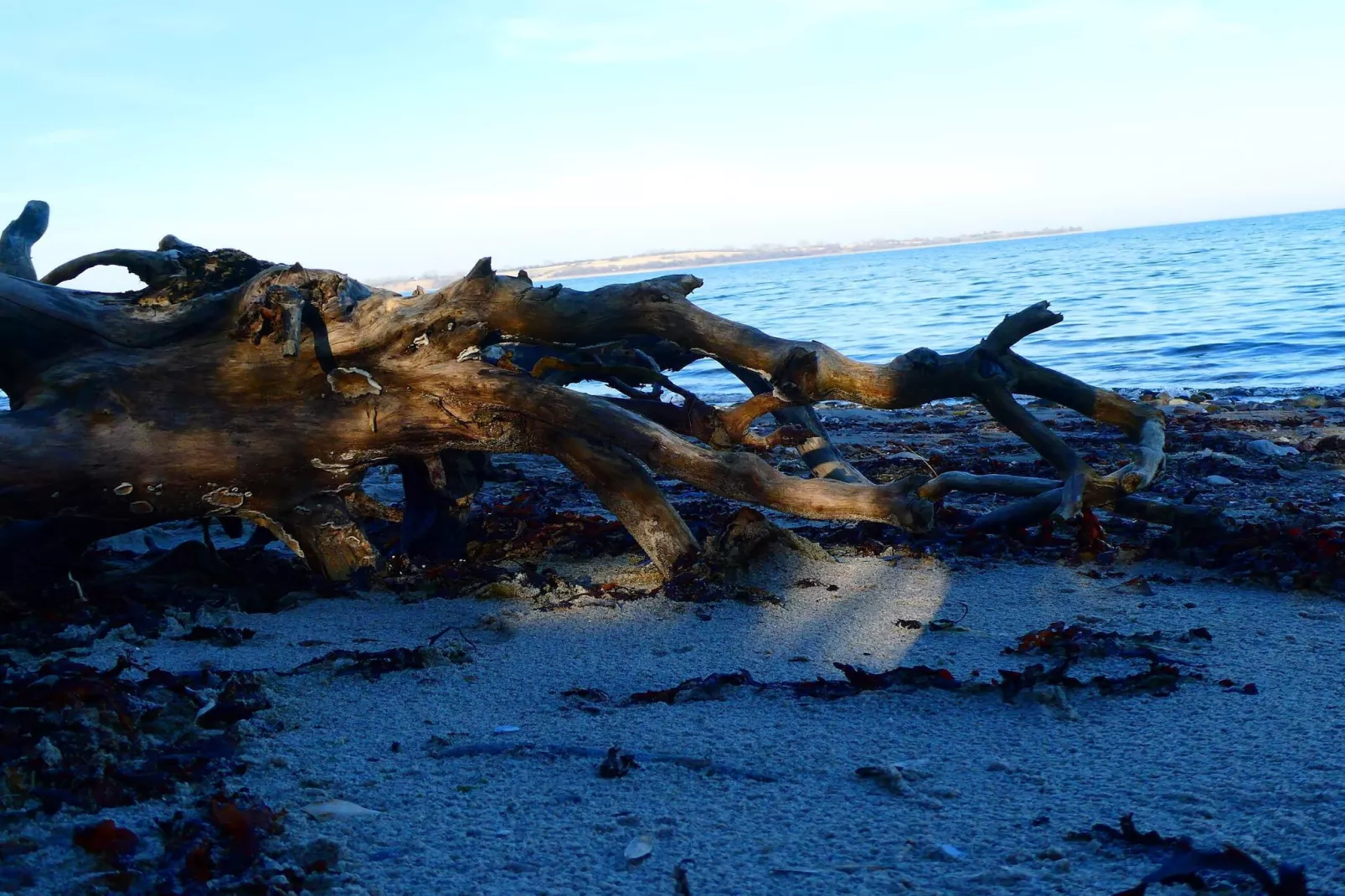 4 persoons vakantie huis in Haderslev-By Traum