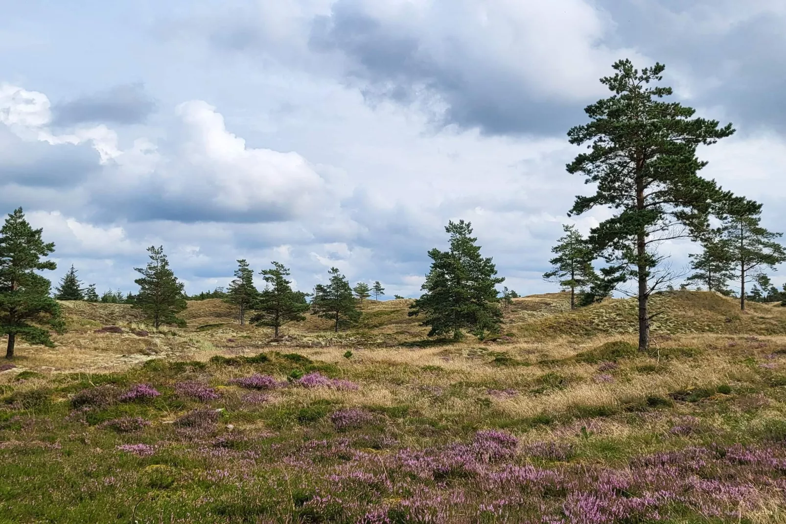 8 persoons vakantie huis in Fjerritslev-By Traum