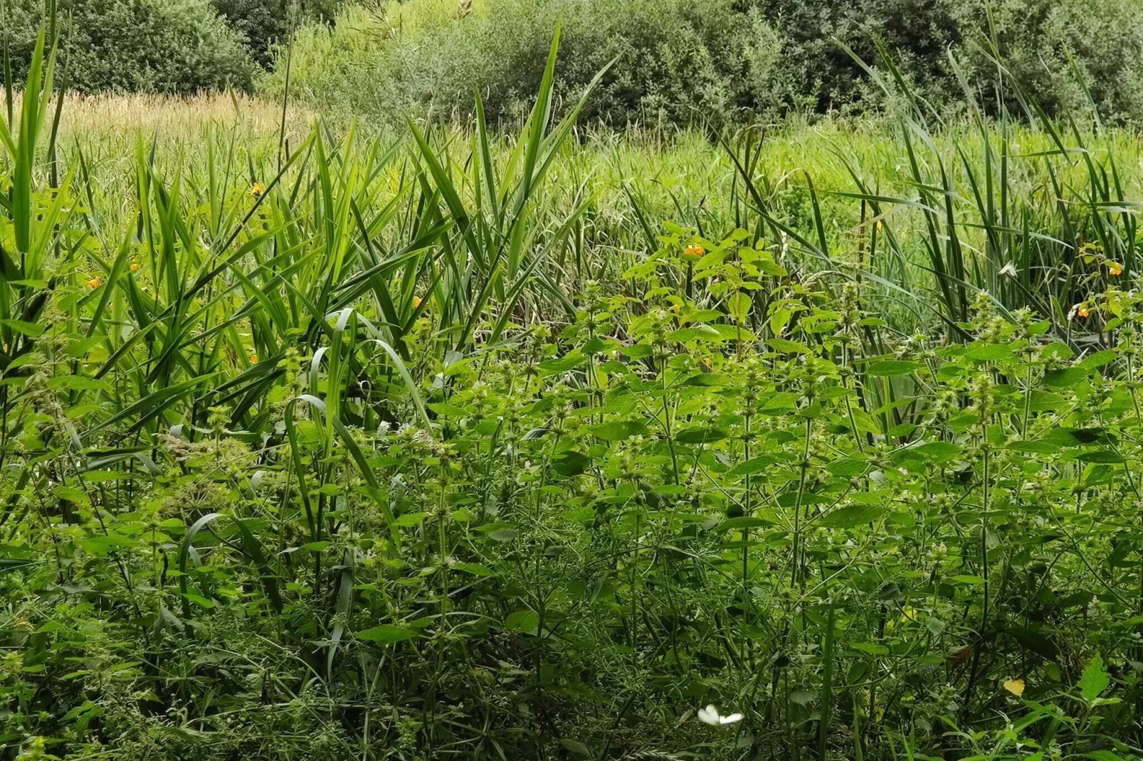 10 persoons vakantie huis in Fårvang-By Traum-Niet-getagd