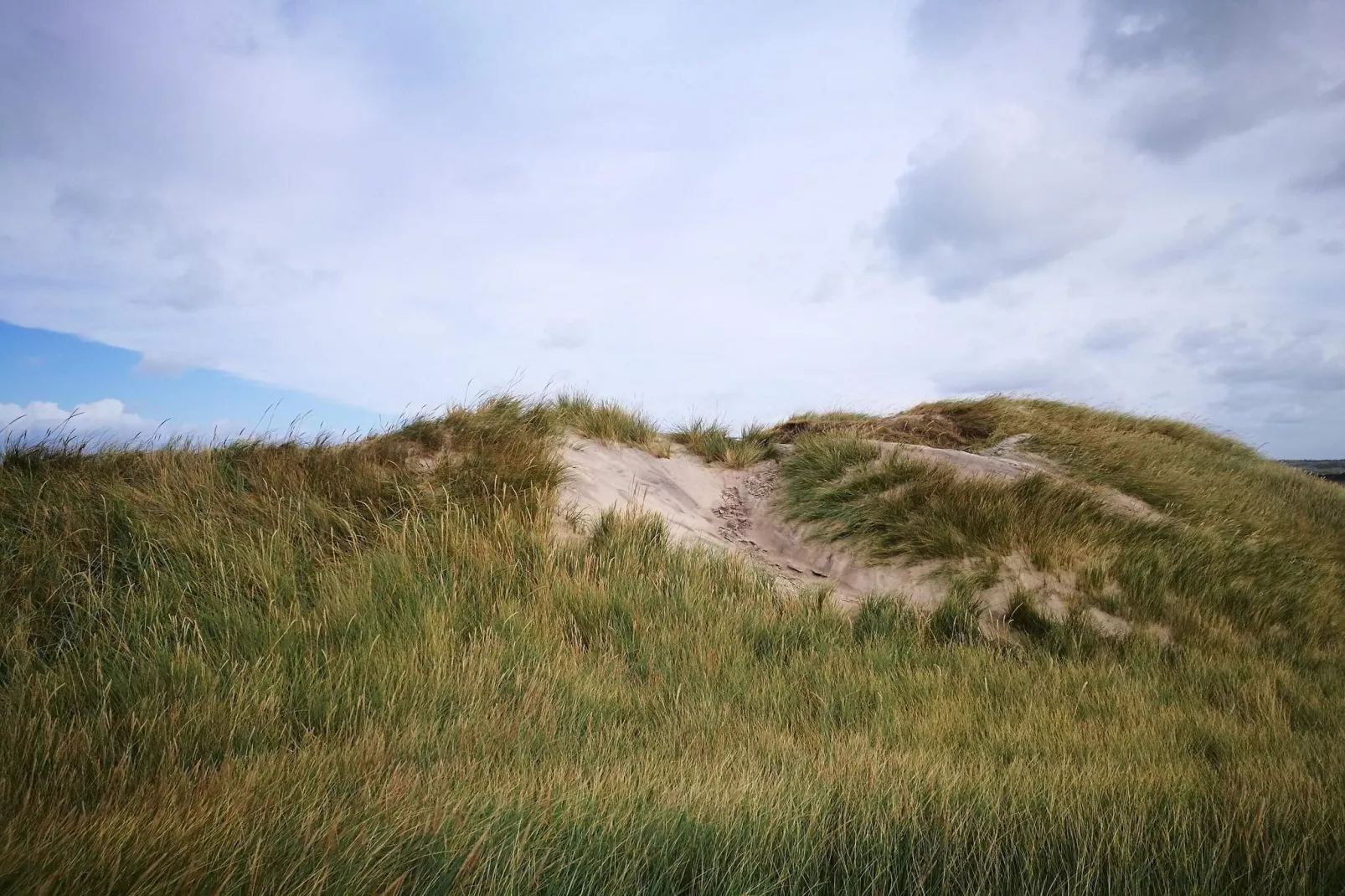 8 persoons vakantie huis in Hjørring-By Traum-Niet-getagd