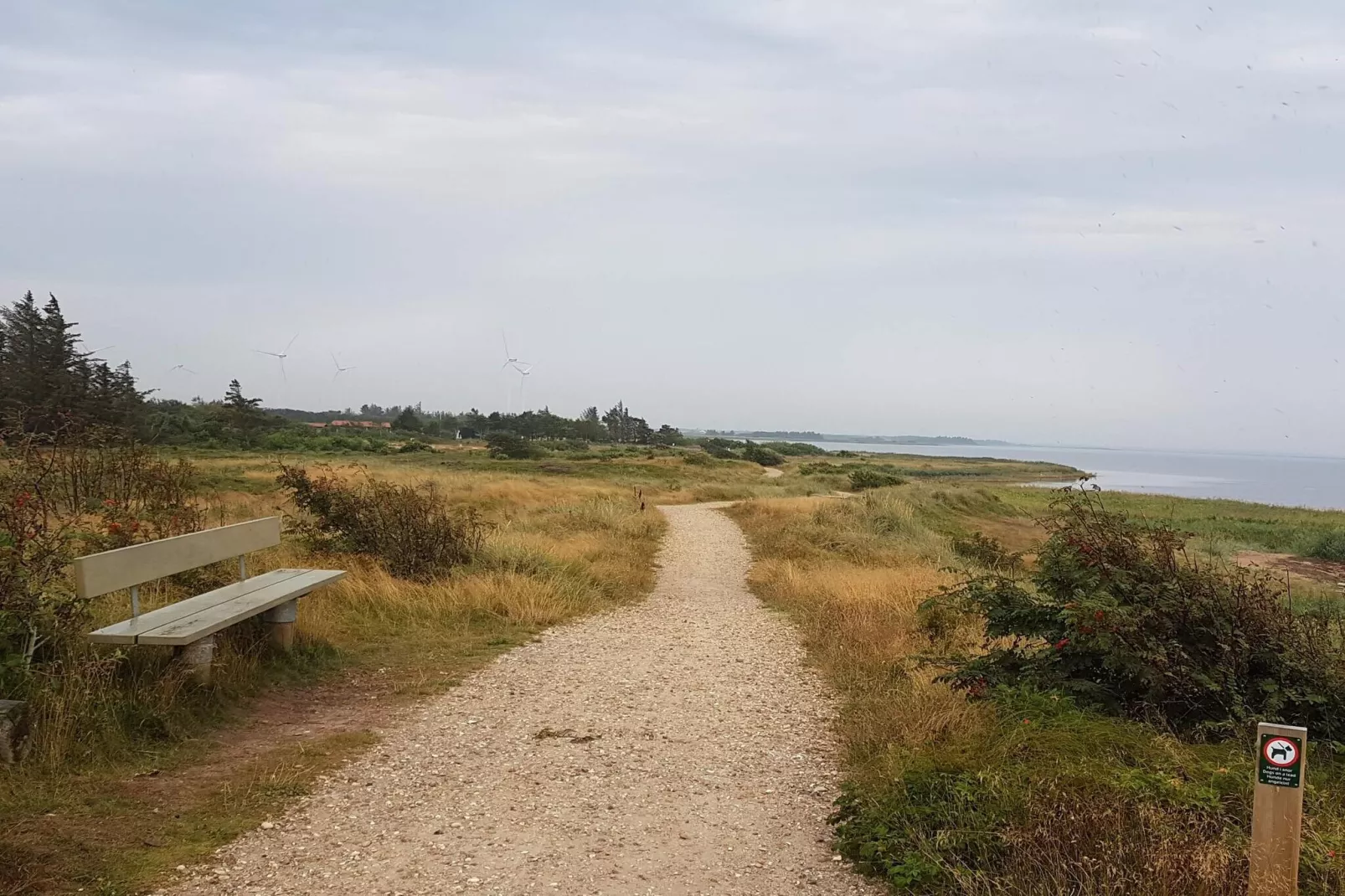 6 persoons vakantie huis in Tarm-By Traum