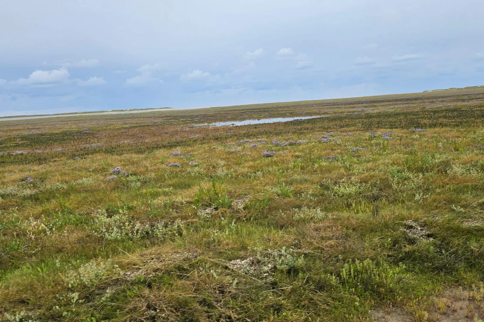 Kustparadijs in Vadehavet -- By Traum Ferienwohnungen