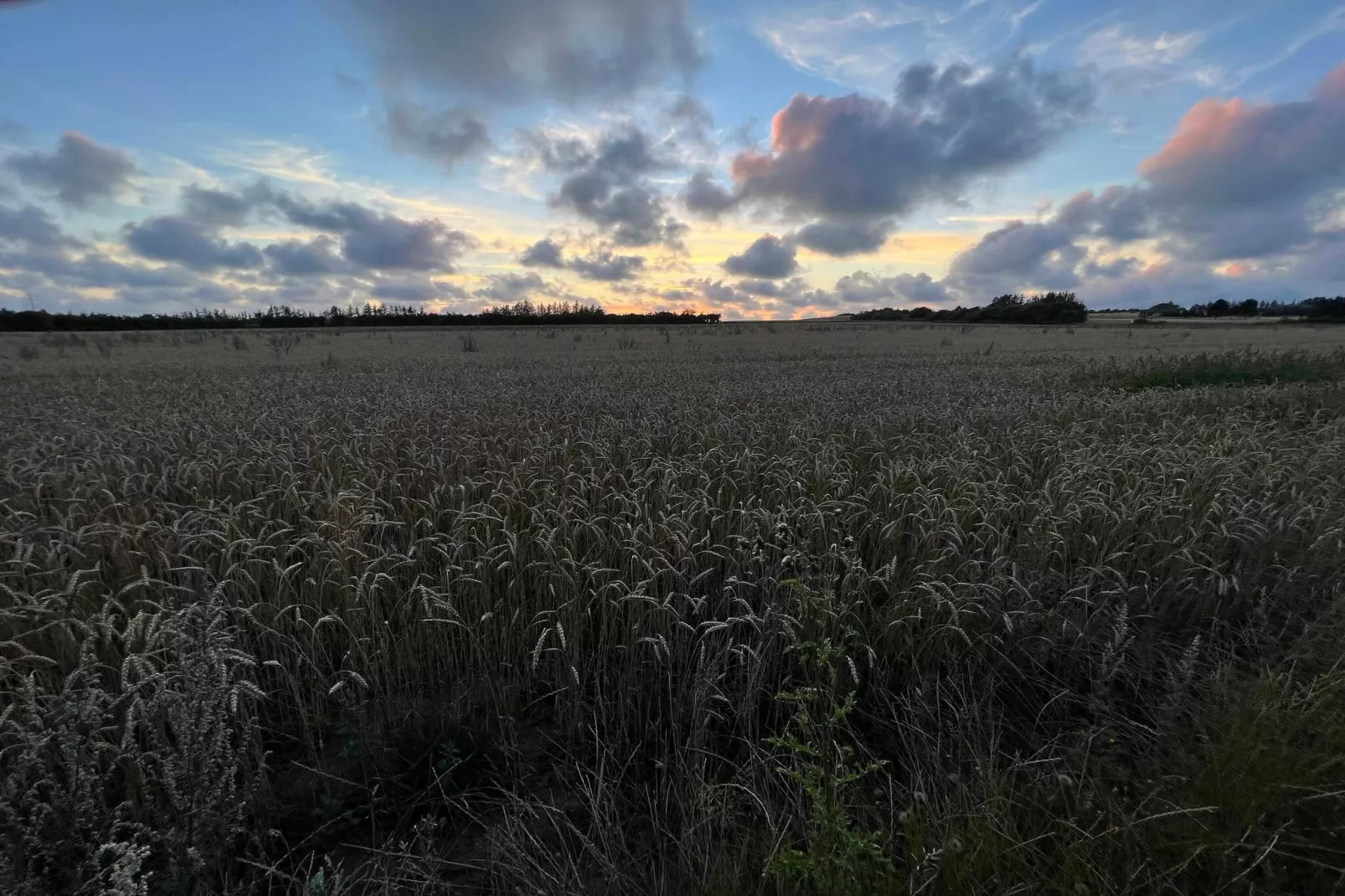 7 persoons vakantie huis in Henne-By Traum