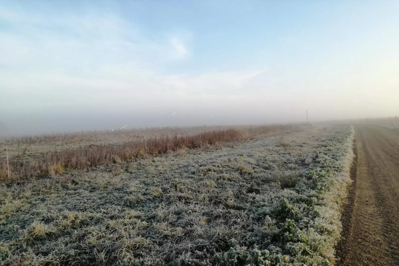 6 persoons vakantie huis in Løkken-By Traum-Niet-getagd