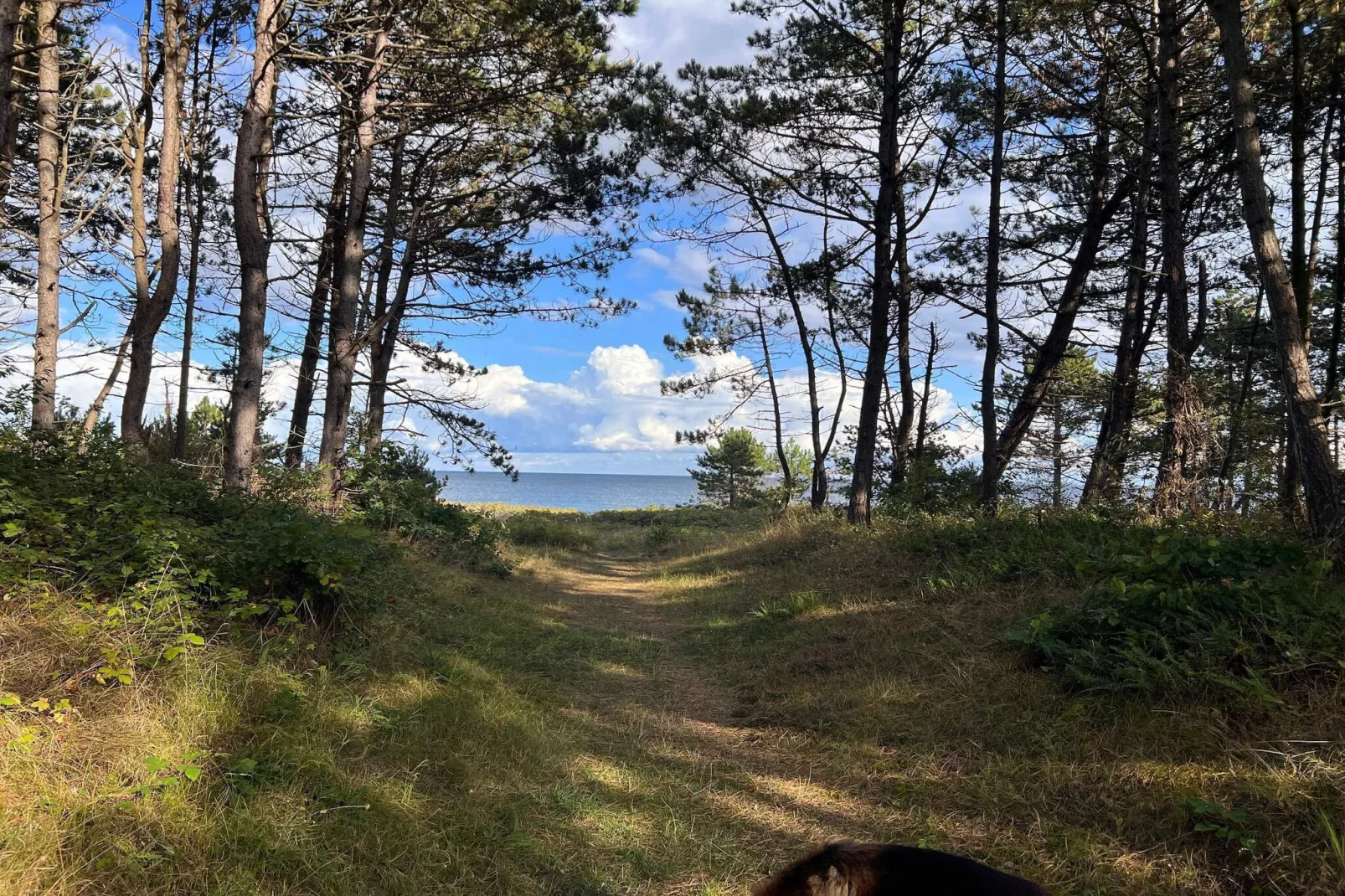 8 persoons vakantie huis in Ebeltoft-By Traum