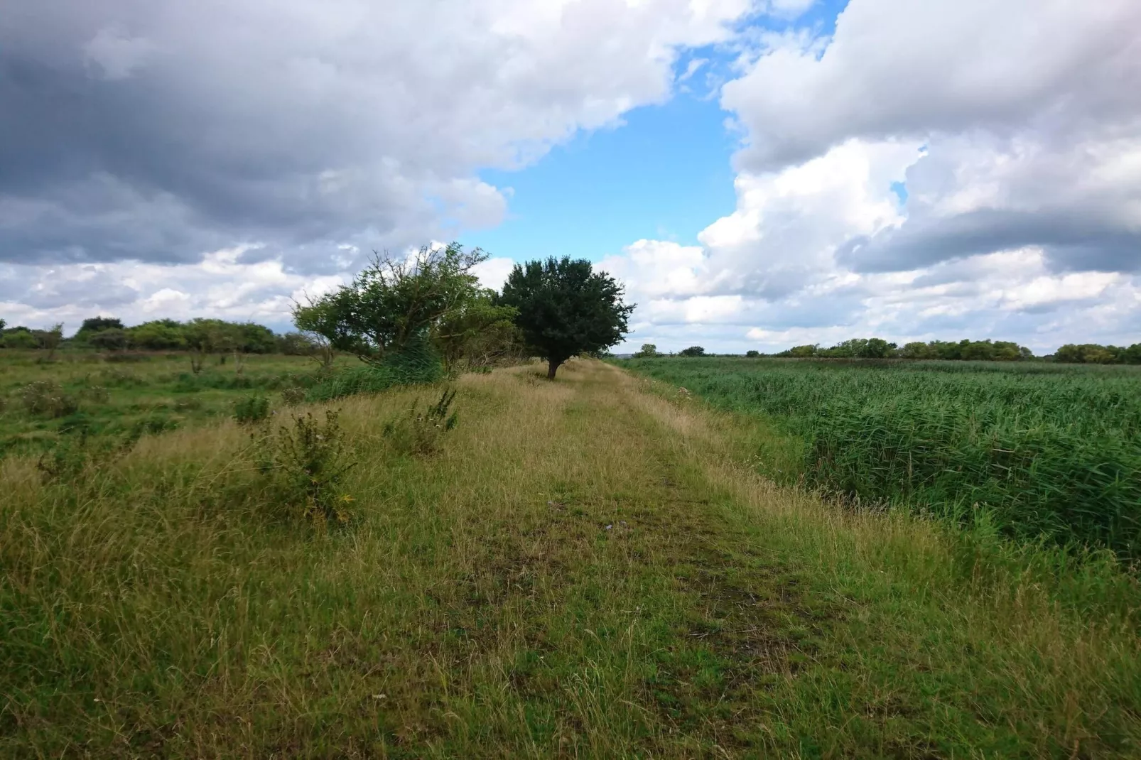 7 persoons vakantie huis in Stege-By Traum-Niet-getagd