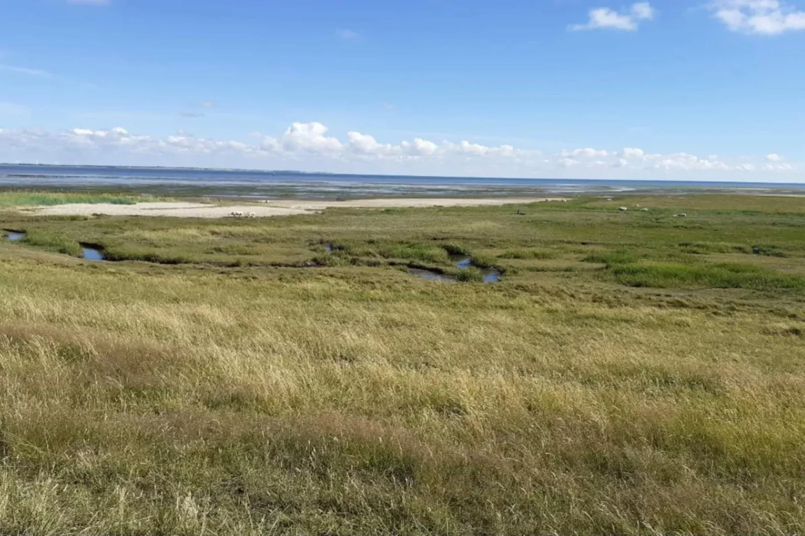 18 persoons vakantie huis in Rømø-By Traum