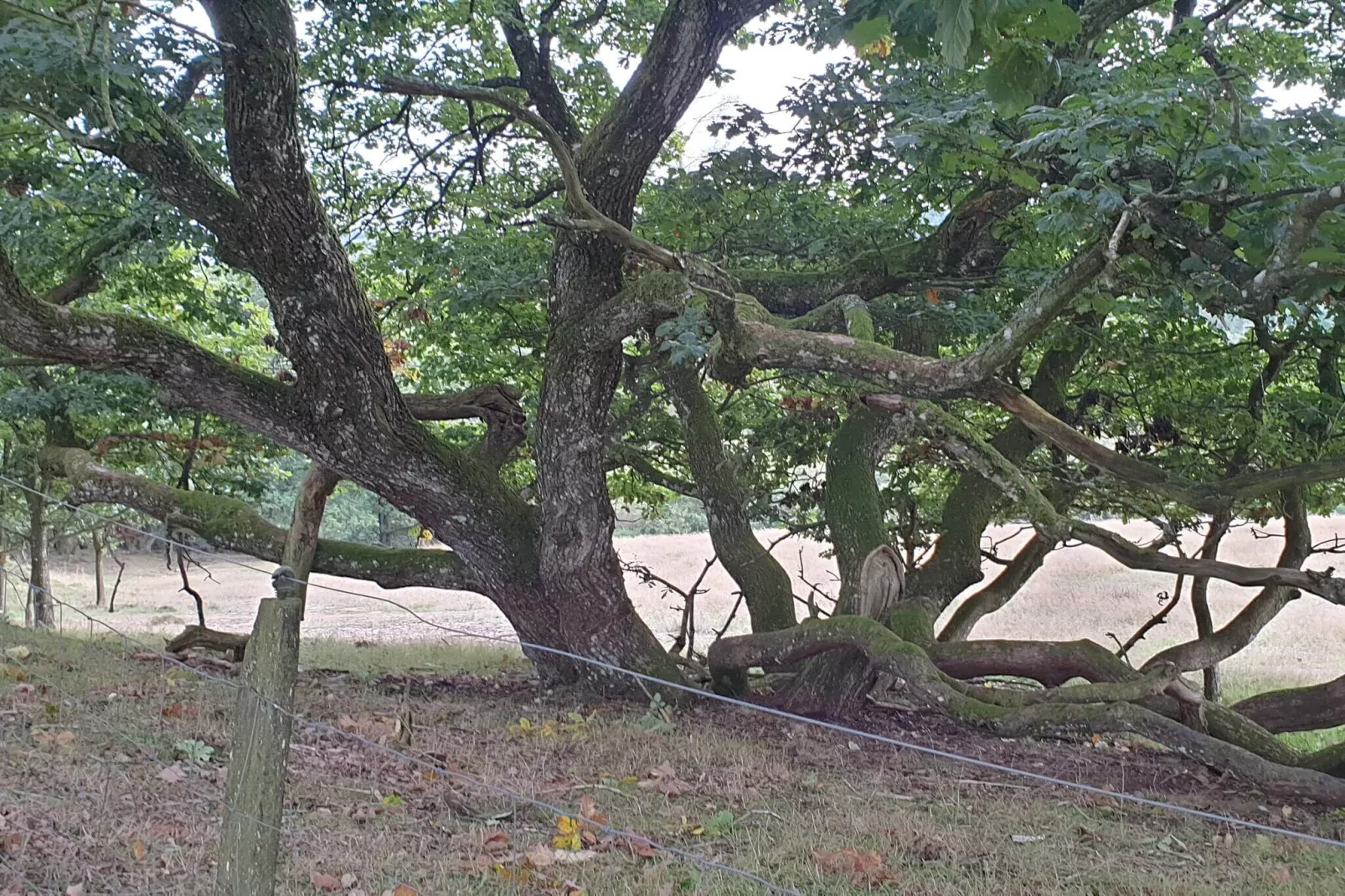 6 persoons vakantie huis in Silkeborg-By Traum