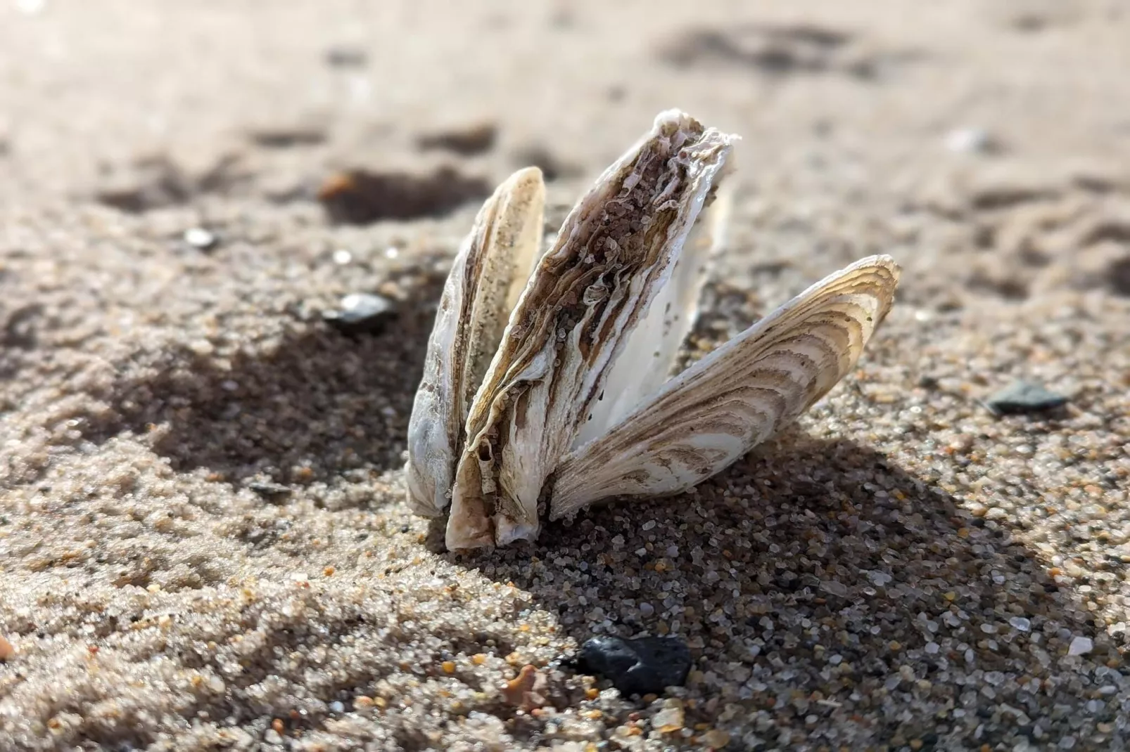 6 persoons vakantie huis in Vinderup-By Traum-Niet-getagd