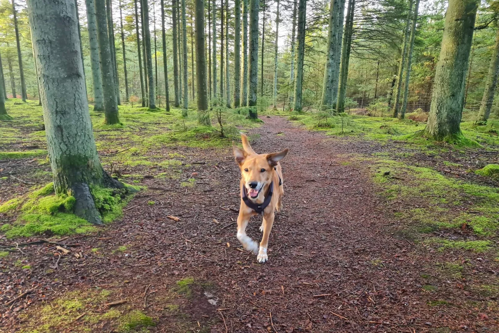 8 persoons vakantie huis in Ålbæk-By Traum-Niet-getagd