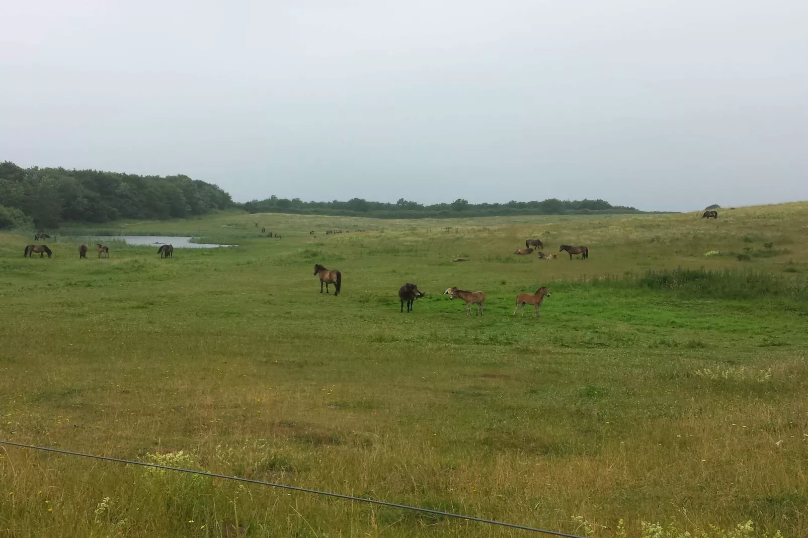Luxe zwembadvilla in Bagenkop -- By Traum Ferienwohnungen-Niet-getagd