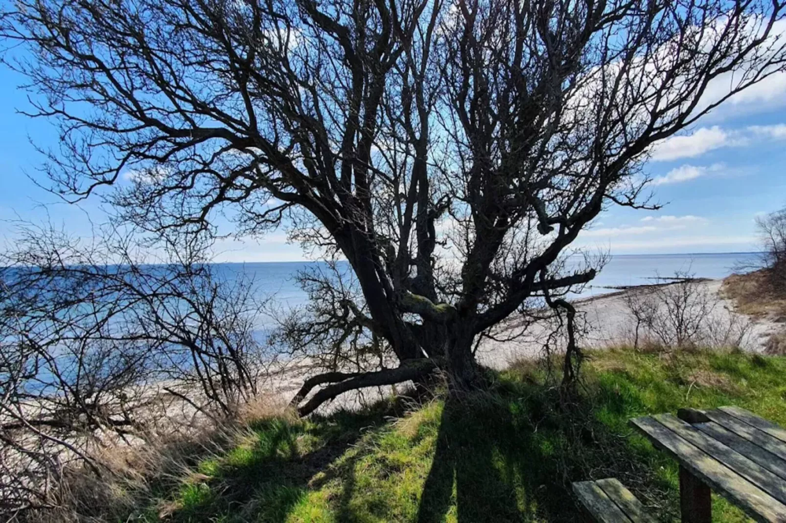 14 persoons vakantie huis in Idestrup-By Traum-Waterzicht