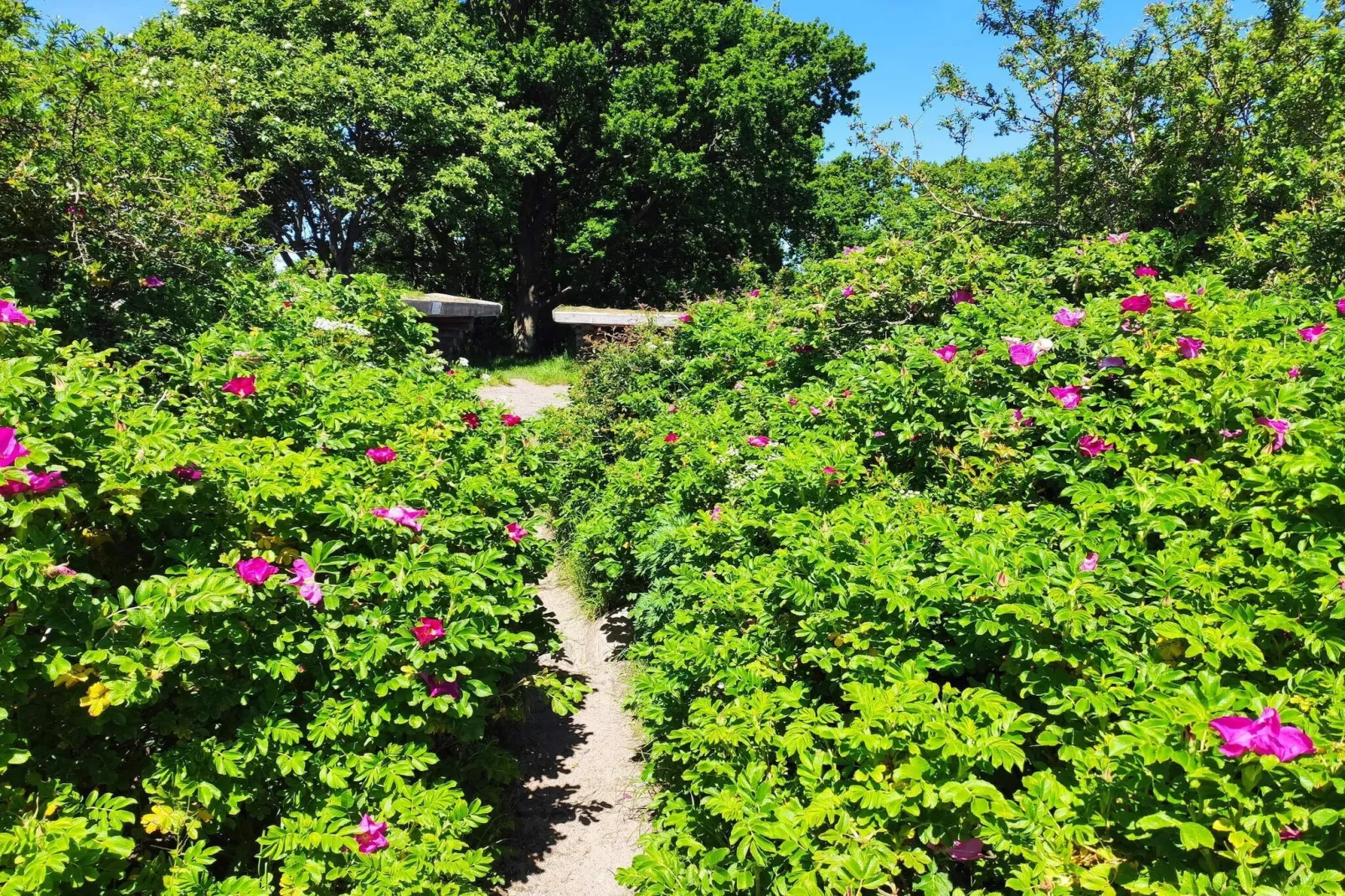 6 persoons vakantie huis in Bjert-By Traum-Niet-getagd