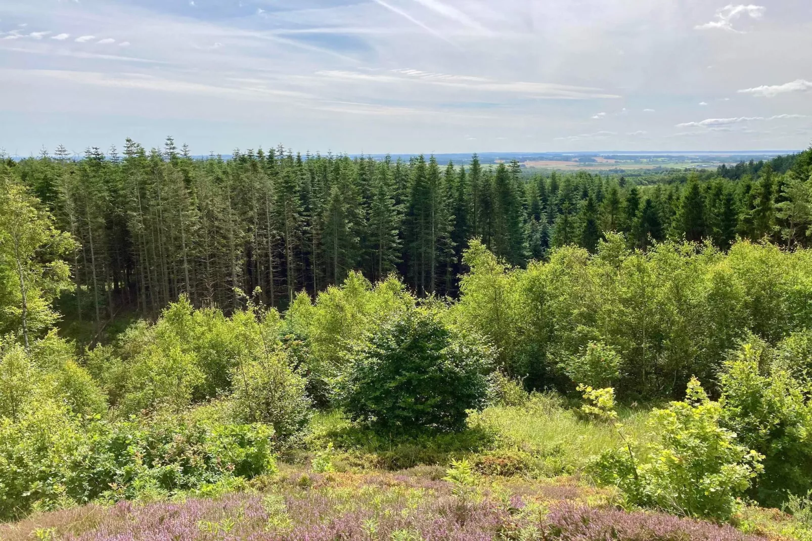 16 persoons vakantie huis in Brovst-By Traum