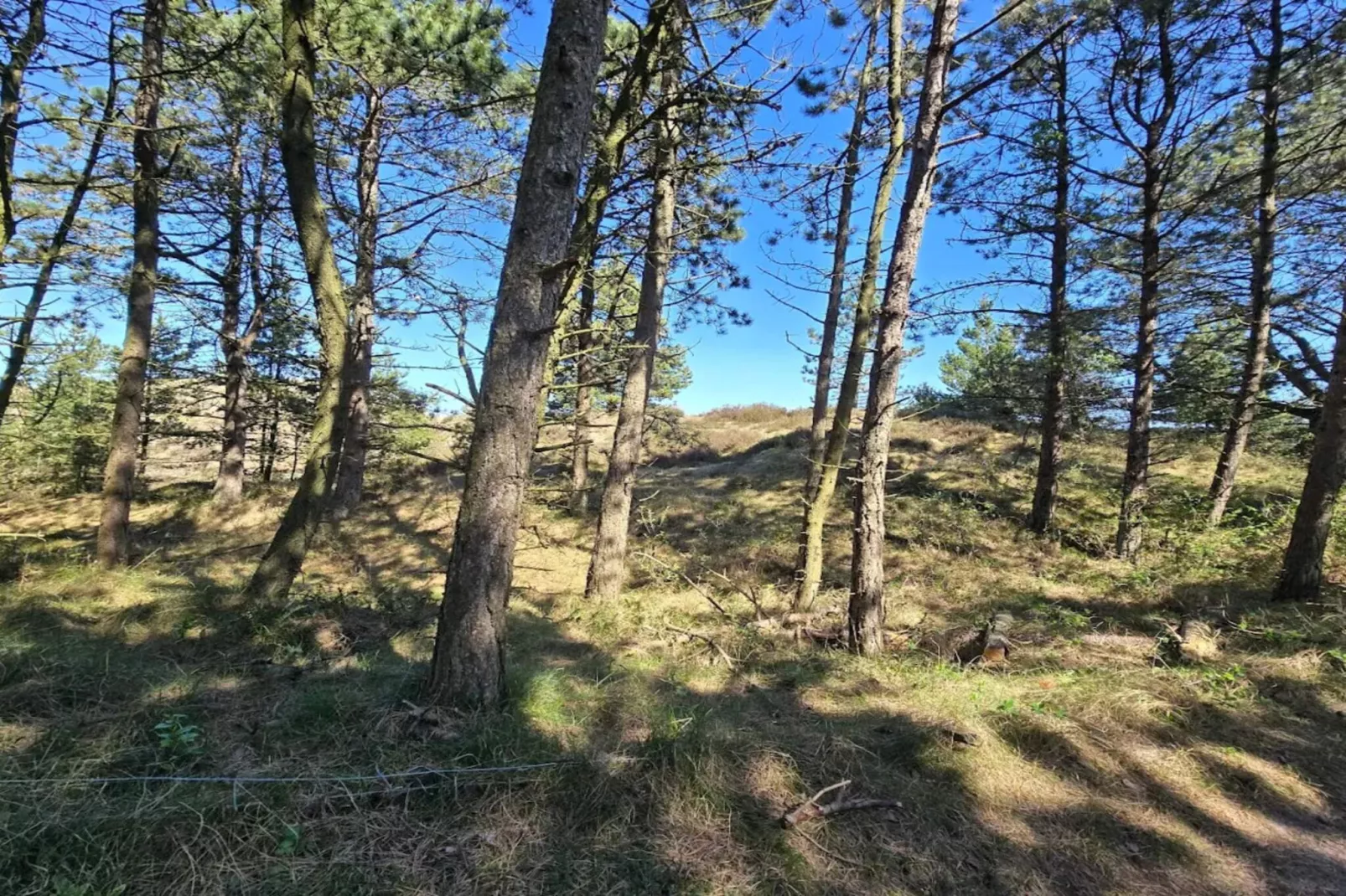 6 persoons vakantie huis in Rømø-By Traum-Niet-getagd