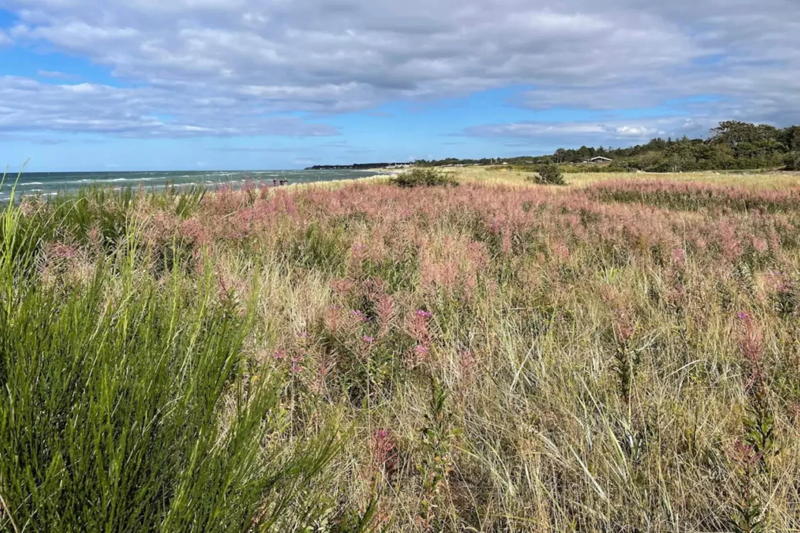 Natuur retraite bij strand -- By Traum Ferienwohnungen