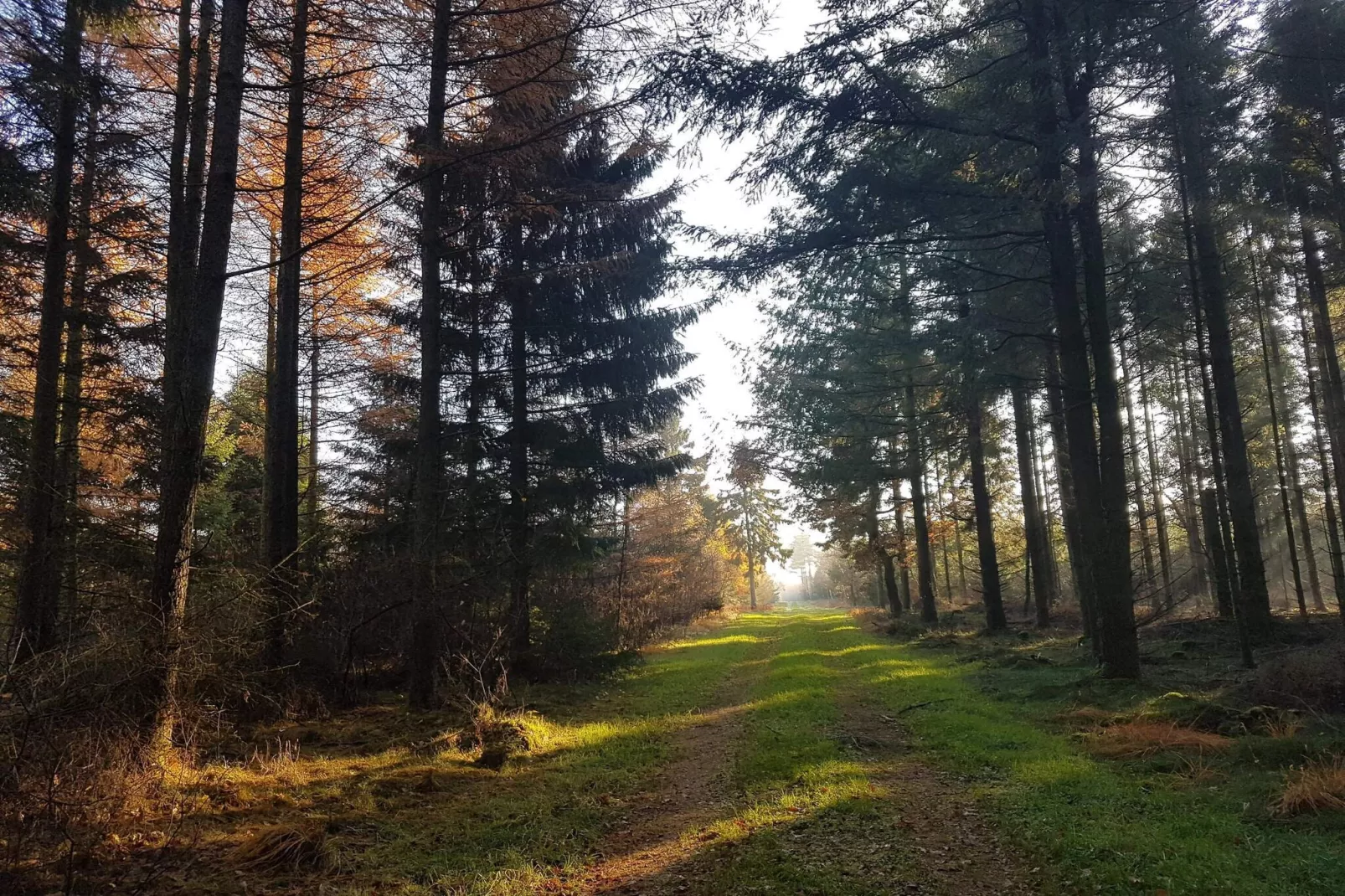 6 persoons vakantie huis in Toftlund-By Traum-Niet-getagd