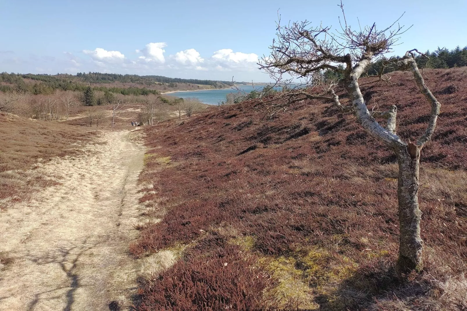 Schilderachtig toevluchtsoord in Boddum -- By Traum Ferienwohnungen-Niet-getagd